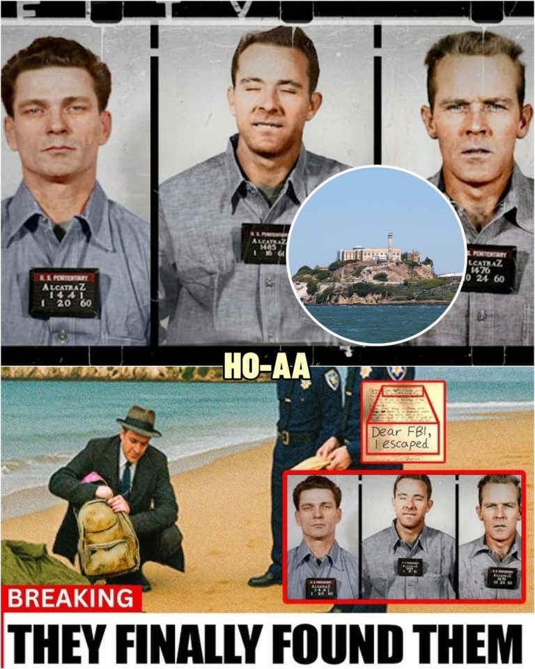 The Alcatraz Mystery Finally Cracked: After 55 Years, The Truth Emerges