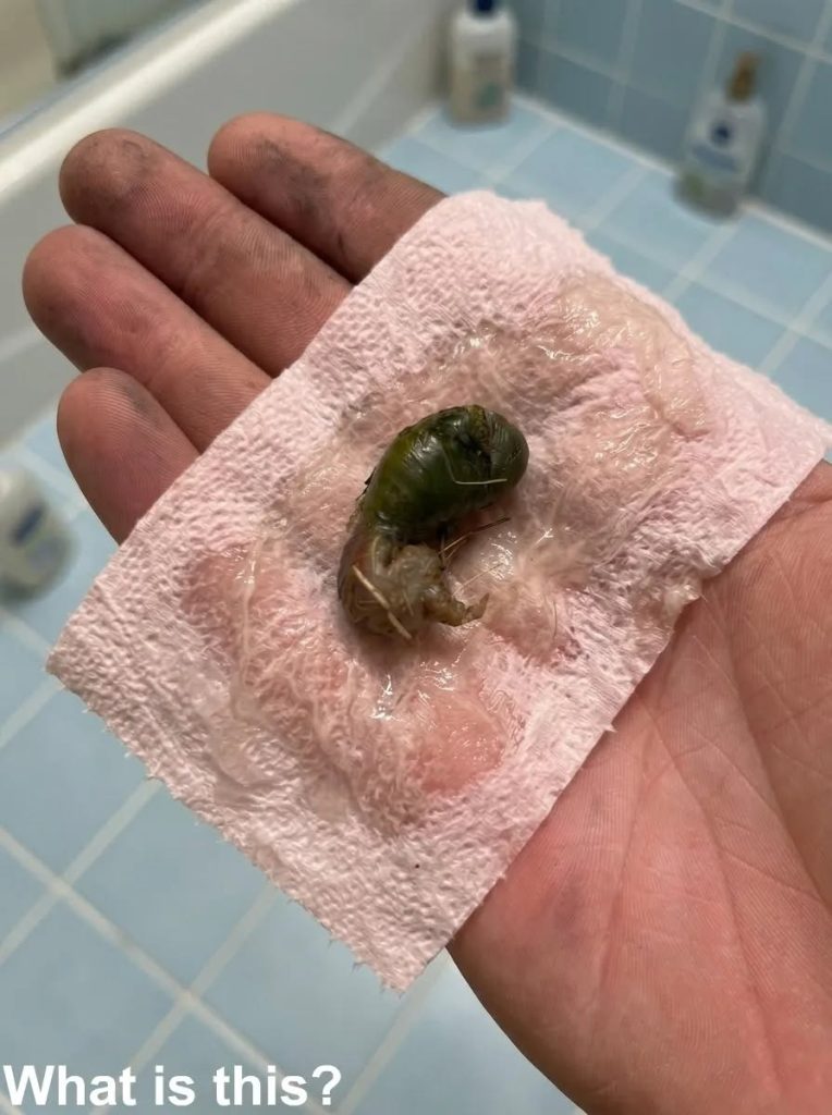 A Mysterious Discovery on Our Bathroom F
