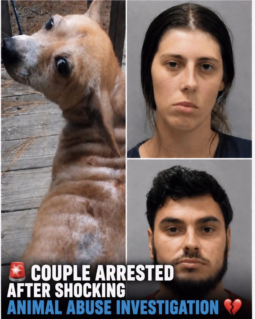 THIBODAUX COUPLE ARRESTED AFTER DISTURBING ANIMAL ABUSE & CHILD CRUELTY INVESTIGATION