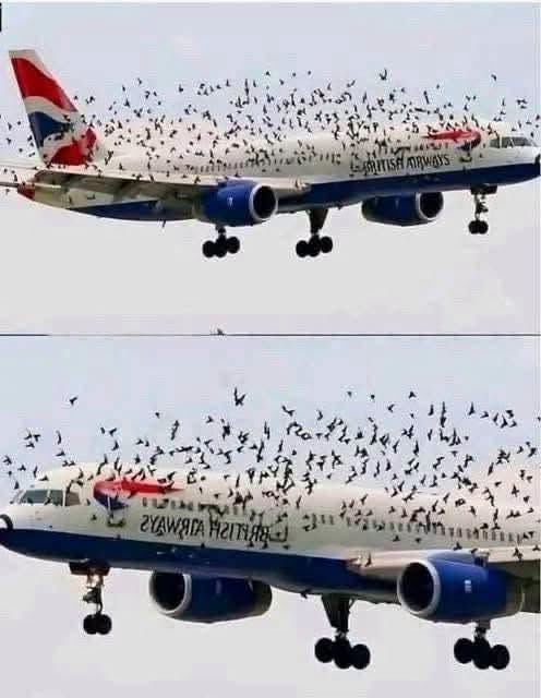 A Pilot’s Emotional Reaction After an Emergency Landing Left Passengers Moved